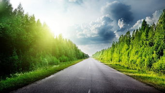 晨光下的绿色公路 驶向希望的自然之旅